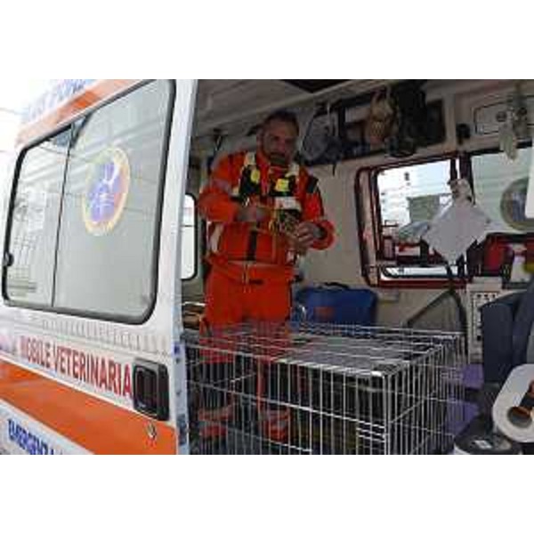 L'unità di emergenza veterinaria dell'Associazione "Mi Fido di te" - Pordenone 23/03/2015