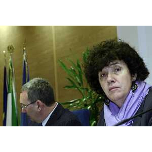 Sergio Bolzonello (Vicepresidente Regione FVG e assessore Attività produttive, Commercio, Cooperazione, Risorse agricole e forestali) e Loredana Panariti (Assessore regionale Lavoro, Formazione, Istruzione, Pari Opportunità, Politiche giovanili e Ricerca) all'assemblea dei portatori di interesse in merito alla Strategia di Specializzazione Intelligente - S3 (Smart Specialisation Strategy) per il FVG, nell'Auditorium della Regione FVG - Udine 26/03/2015