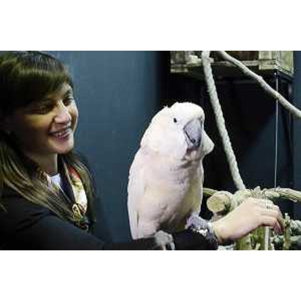 Debora Serracchiani (Presidente Regione Friuli Venezia Giulia) al "Centro Colibrì di Margherita Hack", presso Città Fiera - Torreano di Martignacco (UD) 31/03/2015