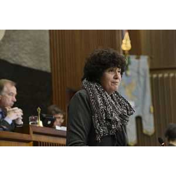Intervento dell'assesore Panariti