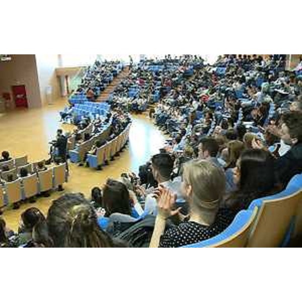 L'Auditorium della Regione FVG durante la presentazione dei principali risultati del "Progetto regionale di prevenzione e contrasto del fenomeno del bullismo omofobico" - Udine 16/05/2015