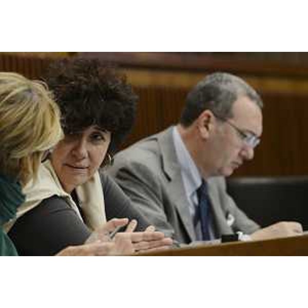 Loredana Panariti (Assessore regionale Lavoro, Formazione, Istruzione, Pari Opportunità, Politiche giovanili, Ricerca e Università) durante i lavori del Consiglio regionale - Trieste 27/05/2015