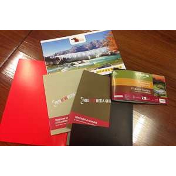 Presentazione di "Dolomiti Days Estate 2015" - Udine 22/06/2015
