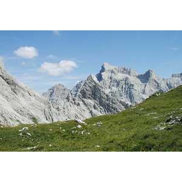 La Cima dei Preti (2706 m) vista dalla Forcella Duranno. Foto: Archivio del Corpo forestale regionale - Marco Pradella