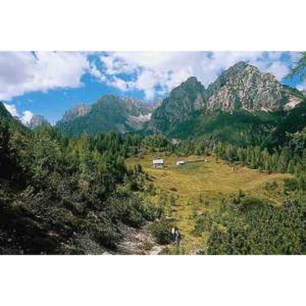 Il sentiero Troi dai Sclops a Forni di Sopra (Udine) e la Casera Valmenon. Foto: Archivio del Corpo forestale regionale - Dario Di Gallo