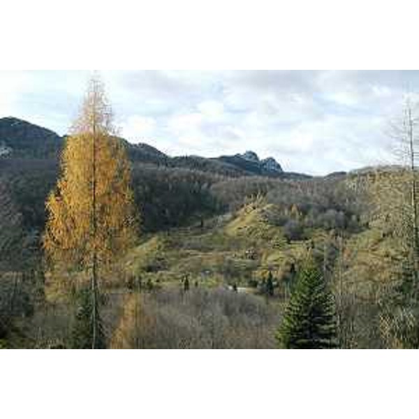 La Casera Valina di Raut in Val Silisia e il Monte Randelino sullo sfondo. Foto: Archivio del Corpo forestale regionale - Marco Pradella