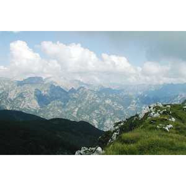 La Val Silisia, il Monte Caserine Alte, il Monte Dosaip e il Monte Spiciat visti dal Monte Ortat. Foto: Archivio del Corpo forestale regionale - Marco Pradella 