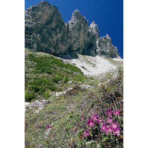 Val Monfalcon di Cimoliana. Foto: Archivio del Corpo forestale regionale - Dario Di Gallo