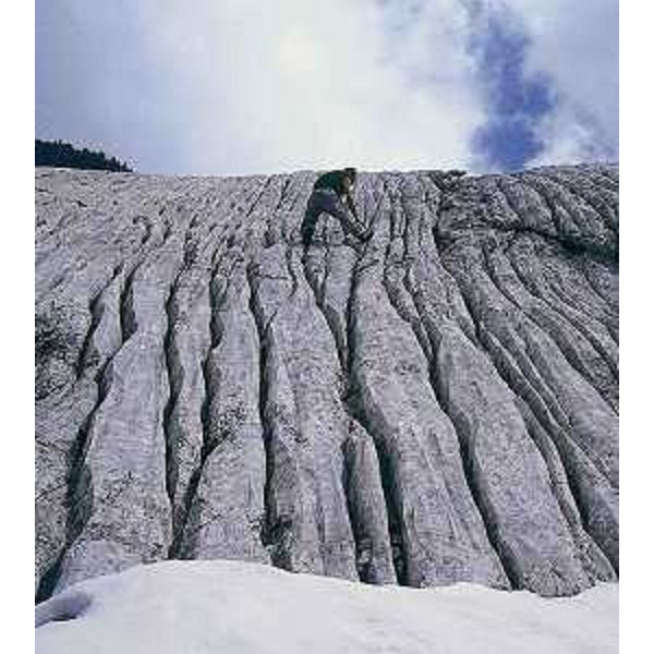Il fenomeno del carsismo del Foran dal Muss sul Monte Canin. Foto: Archivio del Corpo forestale regionale - Dario Di gallo