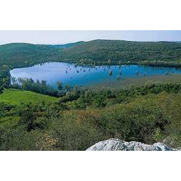 Il Lago di Doberdò dopo un periodo di piogge. Foto: Archivio del Corpo forestale regionale - Dario Di Gallo