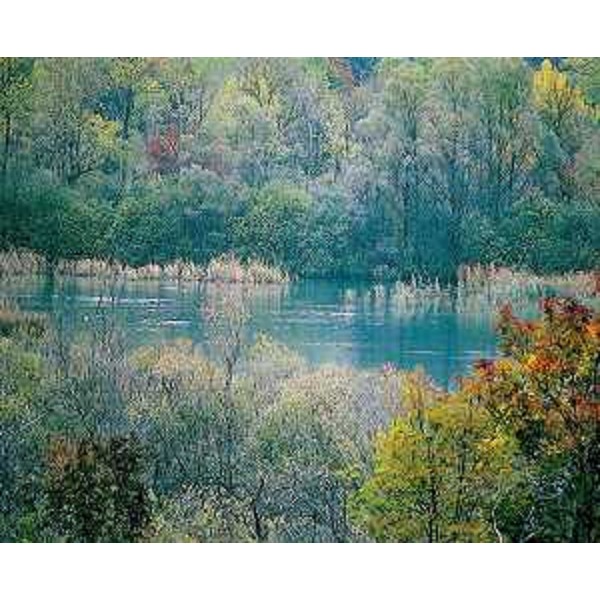 Il Lago di Pietrarossa. Foto: Archivio del Corpo forestale regionale - Lorenzo Fogale