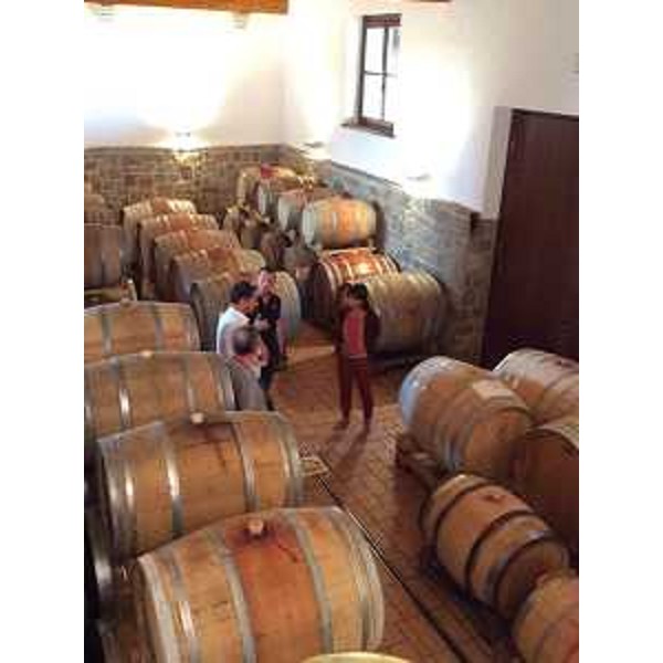Debora Serracchiani (Presidente Regione Friuli Venezia Giulia) durante la visita all'Azienda vitivinicola Specogna - Corno di Rosazzo 28/07/2015