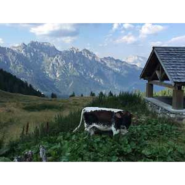 Malga