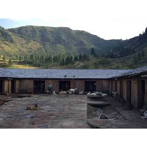 Malga