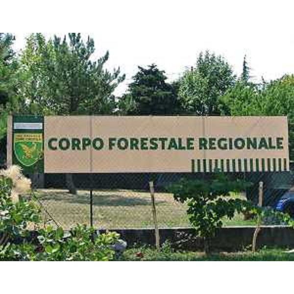 Il logo del Corpo Forestale Regionale