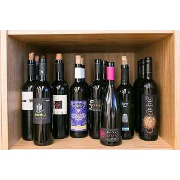Presentazione del Vitovska e di altri vini del Carso, nella Sala Convivium del Padiglione Vino a EXPO 2015 - Milano 27/08/2015