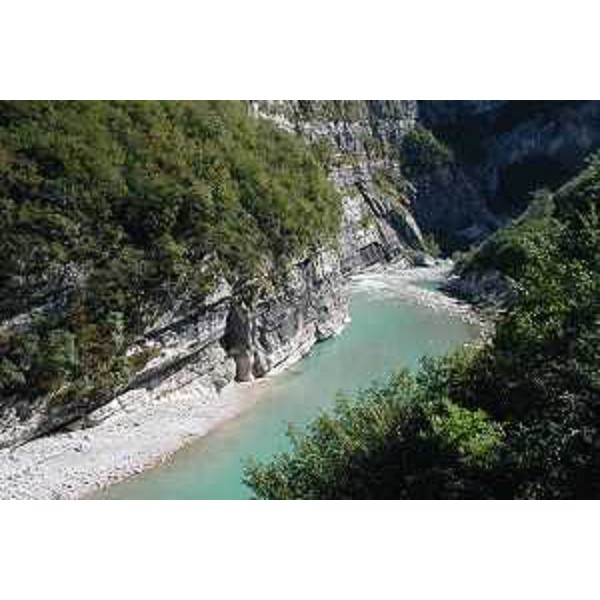La Forra del Torrente Cellina con la parete del Monte Fara. Foto: Archivio del Corpo forestale regionale - Marco Pradella