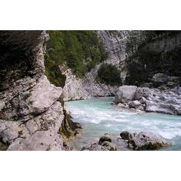 La Forra del Torrente Cellina alla Sorgente Medata. Foto: Archivio del Corpo forestale regionale - Marco Pradella 