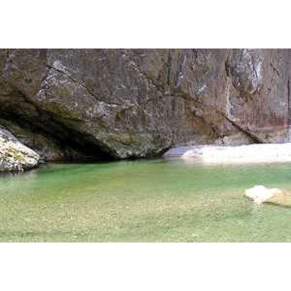 La Forra del Torrente Cellina nei pressi della Vecchia Diga. Foto: Archivio del Corpo forestale regionale - Marco Pradella