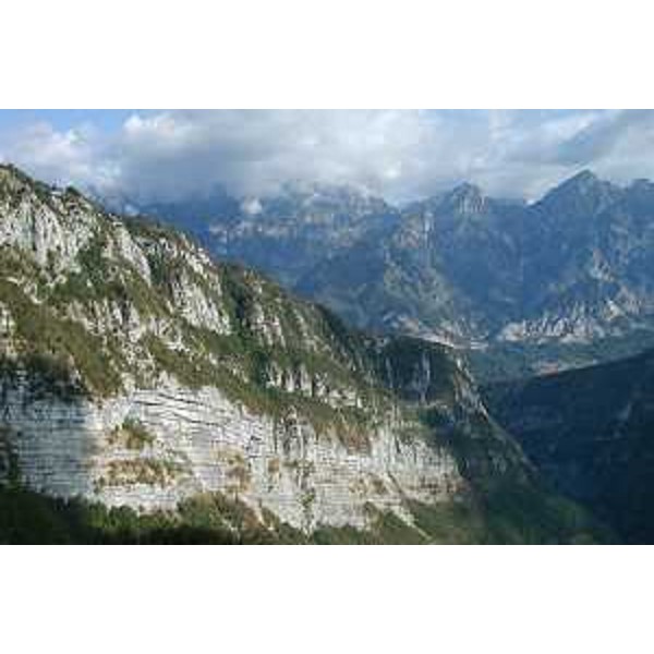 Le Crode del Pic viste dalla Pala d'Altei. Foto: Archivio del Corpo forestale regionale - Marco Pradella