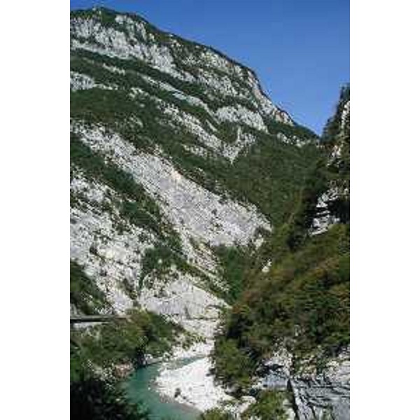 Le Crode del Pic viste dalla Forra del Torrente Cellina. Foto: Archivio del Corpo forestale regionale - Marco Pradella