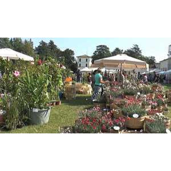 Terza edizione di "Nel Giardino del doge Manin" - Villa Manin di Passariano 12/09/2015