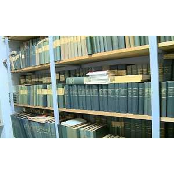 Archivio del Parco Basaglia - Gorizia 14/09/2015