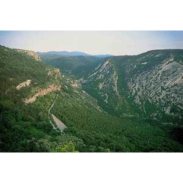 La Val Rosandra vista da San Lorenzo, Frazione di San Dorligo Della Valle (Trieste). Foto: Archivio del Corpo forestale regionale - Fabio Perco