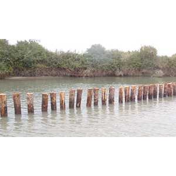Palificazioni per il dragaggio del fiume Corno