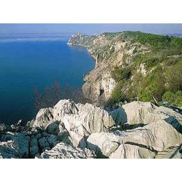 Le Falesie di Duino (Trieste) viste dal Sentiero Rilke. Foto: Archivio del Corpo forestale regionale - Dario Di Gallo