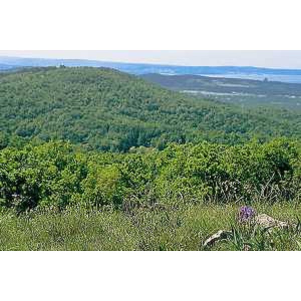 Panorama dal Monte Lanaro. Foto: Archivio del Corpo forestale regionale - Dario Di Gallo