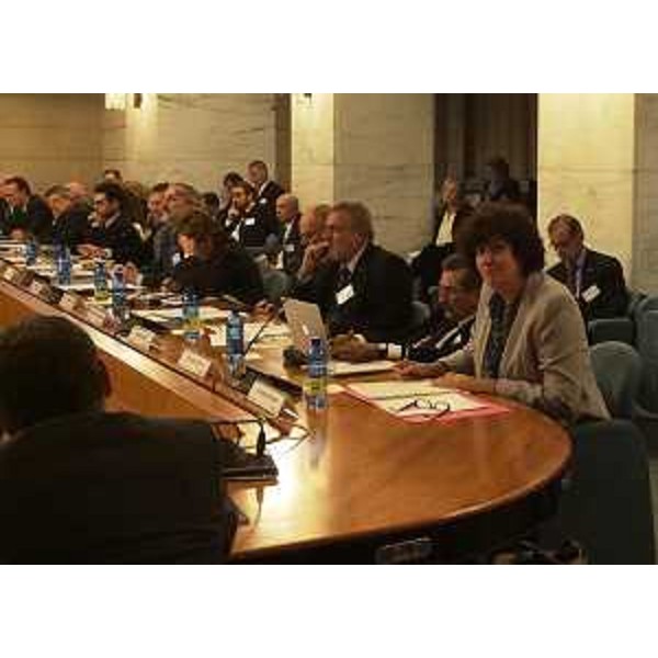 Loredana Panariti (Assessore regionale Formazione, Ricerca e Università) alla riunione degli addetti scientifici per il sistema della ricerca e per l'alta formazione - Roma 13/10/2015