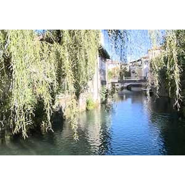 Canale della Pietà - Sacile 22/10/2015 (Foto Produzioni TV Regione FVG)