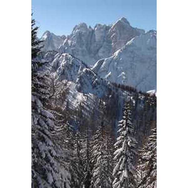 Jof Fuart visto dal Monte Santo di Lussari (Tarvisio, Udine). Foto: Archivio del Corpo forestale regionale - Marco Pradella 