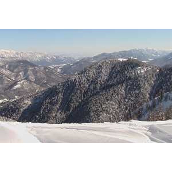 Il Monte Florianca, in Val Canale, visto dal Monte Santo di Lussari. Foto: Archivio del Corpo forestale regionale - Marco Pradella 