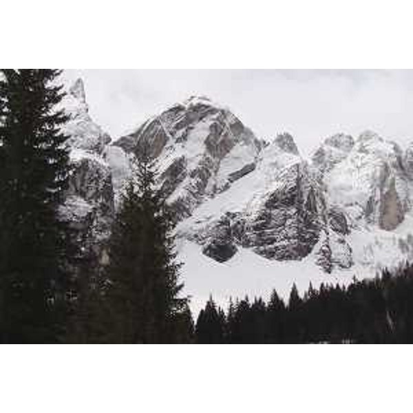 La Valle di Riofreddo con Vetta Bella. Foto: Archivio del Corpo forestale regionale - Marco Pradella 