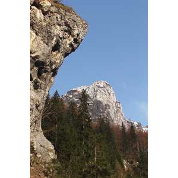 Il Monte Poviz, del Massiccio del Canin, visto dalla Val Raccolana. Foto: Archivio del Corpo forestale regionale - Marco Pradella 