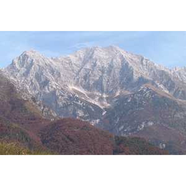 Il Monte Canin visto dalla Val Resia. Foto: Archivio del Corpo forestale regionale - Marco Pradella 
