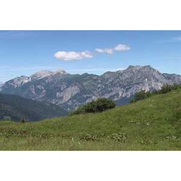 I Monti Bivera e Tinisa visti da Casera Fors in Val Tagliamento. Foto: Archivio del Corpo forestale regionale - Marco Pradella