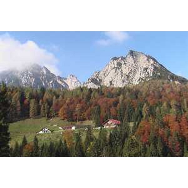 Casera al Passo Pura in comune di Ampezzo (Udine) e il gruppo del Tinisa sullo sfondo. Foto: Archivio del Corpo forestale regionale - Marco Pradella