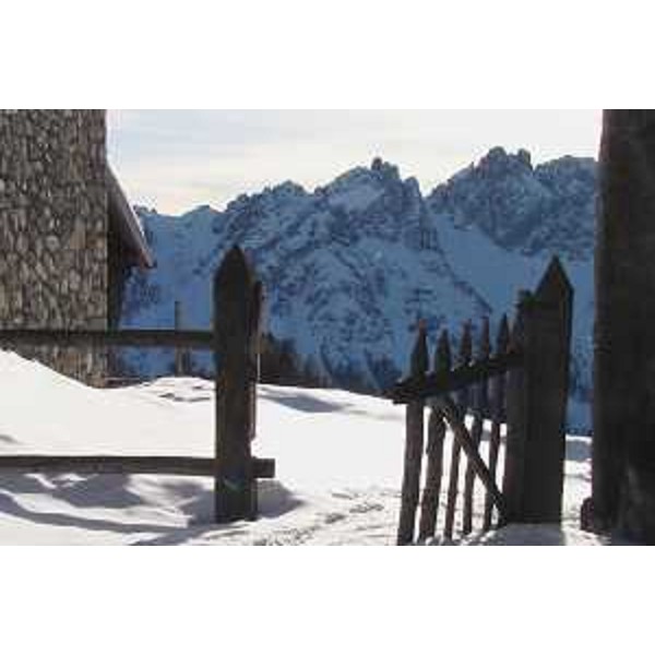 I Monfalconi visti da Casera Varmost in comune di Forni di Sopra (Udine). Foto: Archivio del Corpo forestale regionale - Marco Pradella