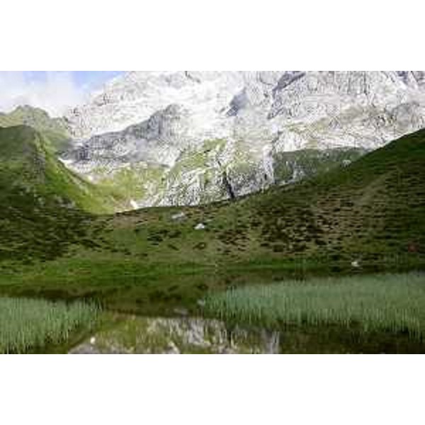 Una zona umida ai piedi del Monte Coglians in Val del But. Foto: Archivio del Corpo forestale regionale - Stefano Fabian