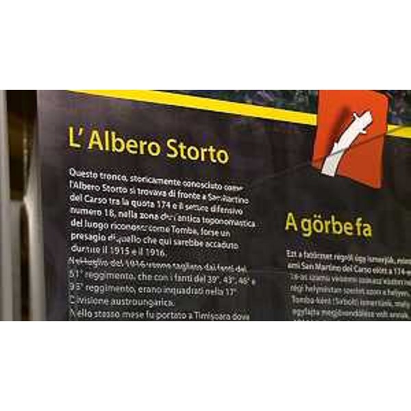 Allestimento della mostra "San Martino e l'albero storto: c'era un volta. Storie da una trincea", al Museo della Grande Guerra - San Martino del Carso 23/11/2015