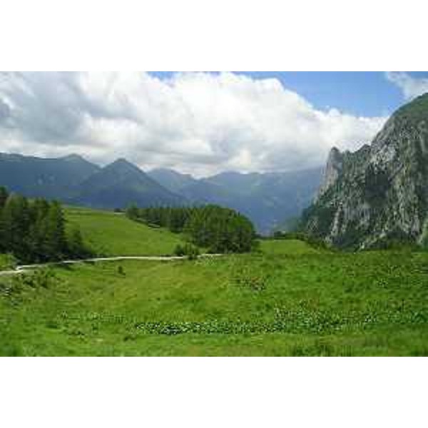 Val del But: pascolo a Pramosio in comune di Paluzza (Udine), e il Gamspitz sulla destra. Foto: Archivio del Corpo forestale regionale - Marco Pradella