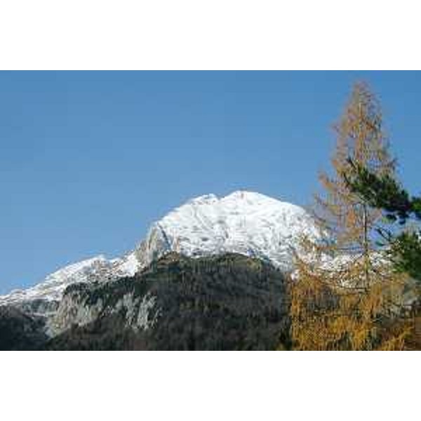 Il Pizzo Collina innevato visto dalla baita "Casetta in Canadà" salendo al Passo di Monte Croce Carnico. Foto: Archivio del Corpo forestale regionale - Marco Pradella