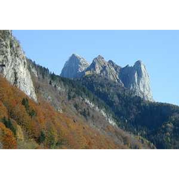 Il Pizzo Timau e il Gamspitz visti dalla baita "Casetta in Canadà" in comune di Paluzza (Udine). Foto: Archivio del Corpo forestale regionale - Marco Pradella 