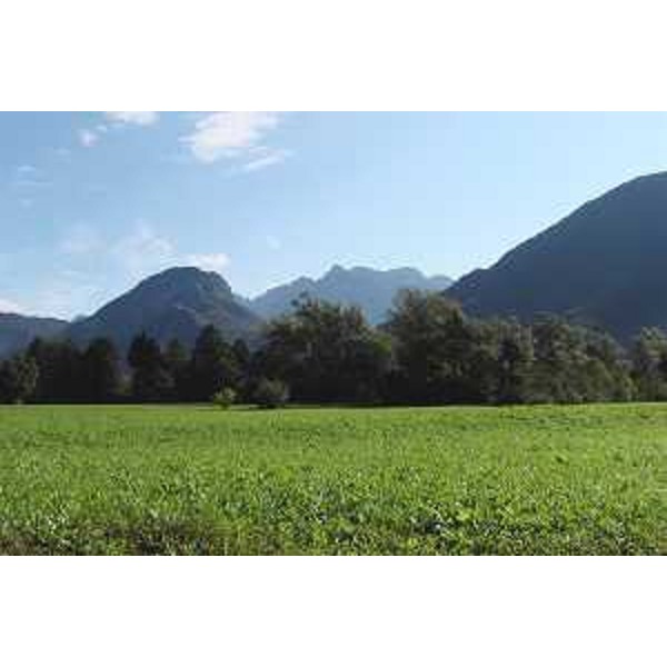 La Valle del But con la Cima del Laris viste da Terzo, Frazione di Tolmezzo (Udine). Foto: Archivio del Corpo forestale regionale - Marco Pradella