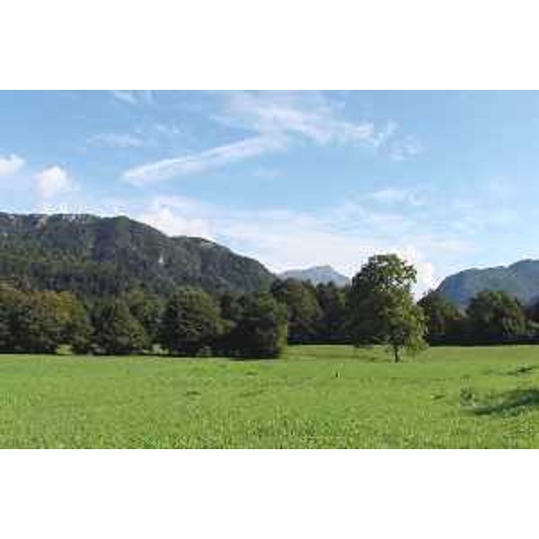 La Valle del But con il Monte Tersadia visti da Terzo, Frazione di Tolmezzo (Udine). Foto: Archivio del Corpo forestale regionale - Marco Pradella