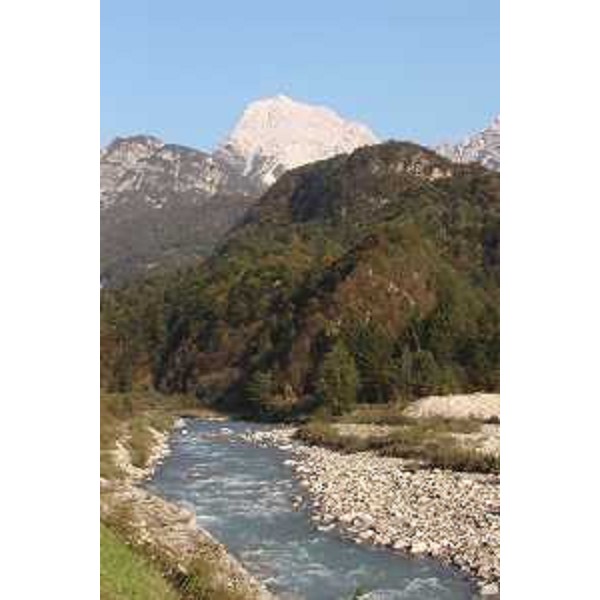 Il Torrente Chiarsò e il Monte Sernio. Foto: Archivio del Corpo forestale regionale - Marco Pradella