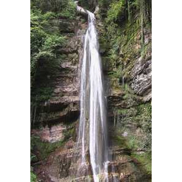La Cascata di Salino in Val Chiarsò in comune di Paularo (Udine). Foto: Archivio del Corpo forestale regionale - Marco Pradella